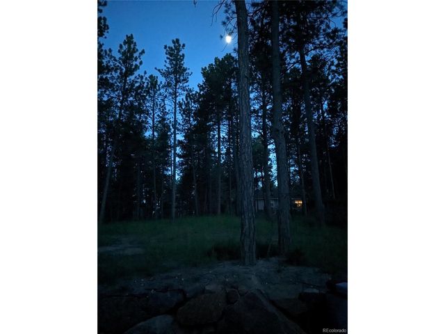 1240 Kenosha Dr, Larkspur, CO 80118