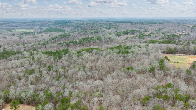 00001 Berryhill Drive, Northport, AL 35475