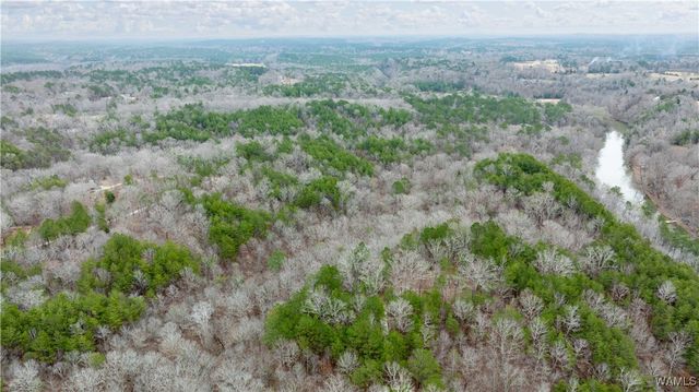 00001 Berryhill Drive, Northport, AL 35475