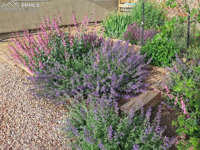 1182 W Broken Bow Drive, Pueblo West, CO 81007