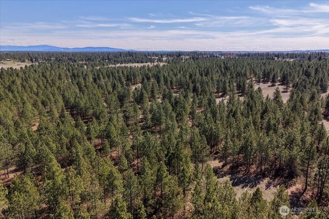 0 TBD N Hayford Road, Spokane, WA 99224