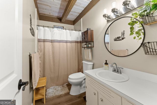 222 Matterhorn Drive, Sautee Nacoochee, GA 30571