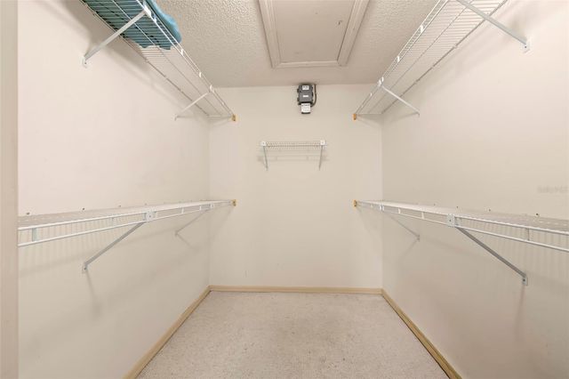 3006 BOLT DRIVE, Palm Harbor, FL 34685