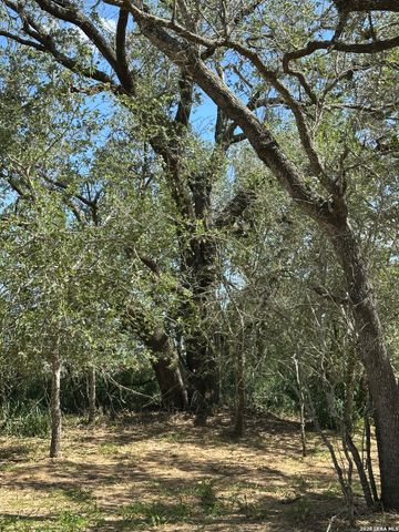 5161 CR302, Floresville, TX 78114