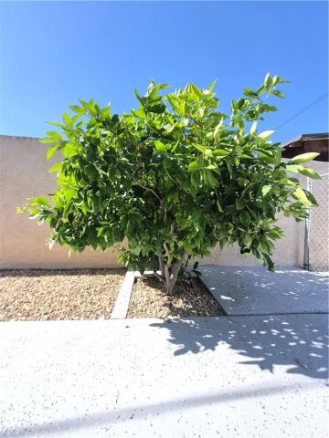 8351 Sierra Madre, Rancho Cucamonga, CA 91730