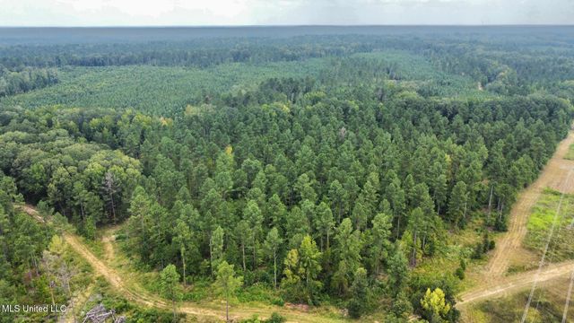 3 Dry Grove Road, Terry, MS 39170
