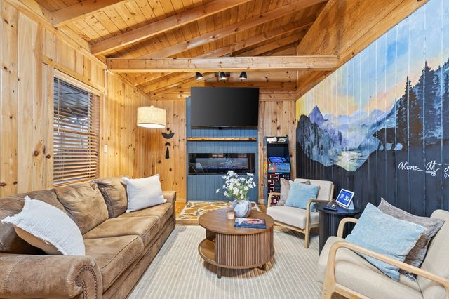 222 Icy Lane, Blue Ridge, GA 30513