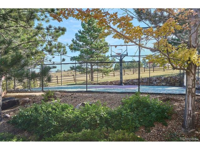 10378 Grande Vista Ct, Lone Tree, CO 80124
