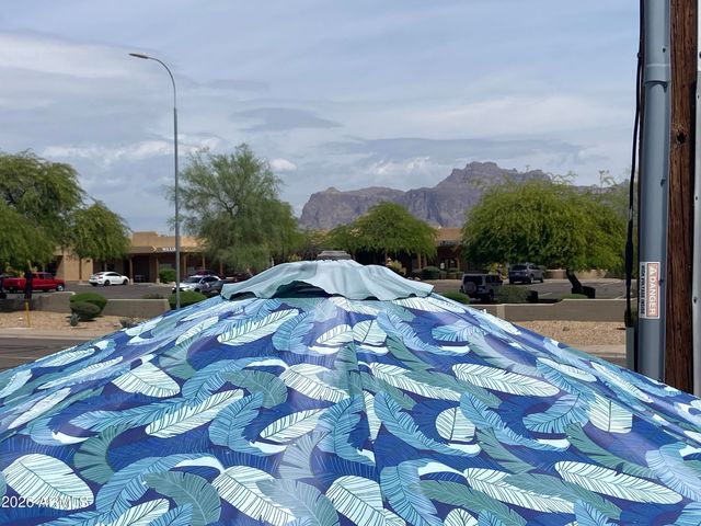 1175 S KIOWA Circle, Apache Junction, AZ 85119