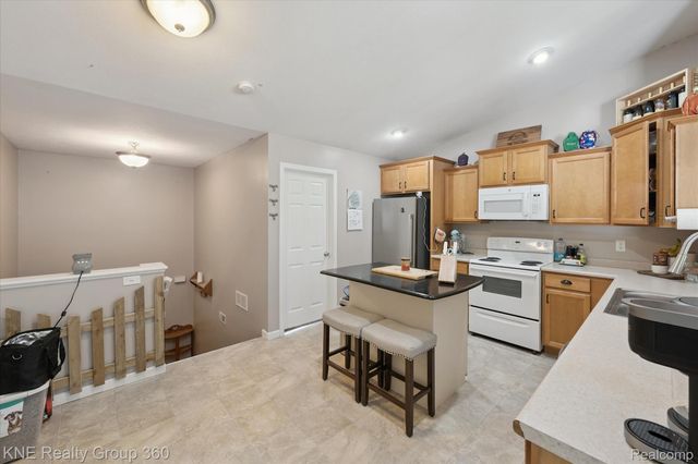 380 Spicetree Lane, Mason, MI 48854