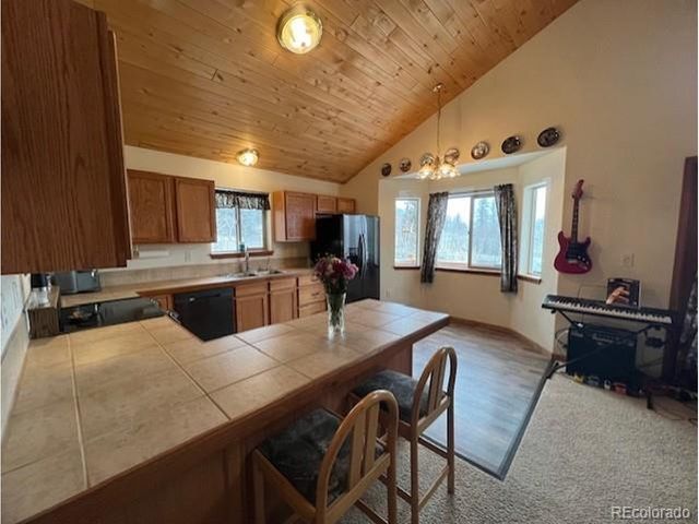 1257 Chippewa Rd, Jefferson, CO 80456