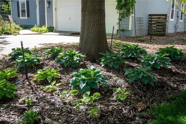 1061 Pumpkin Ridge Street, Gardner, KS 66030