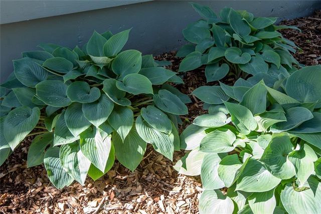 1061 Pumpkin Ridge Street, Gardner, KS 66030