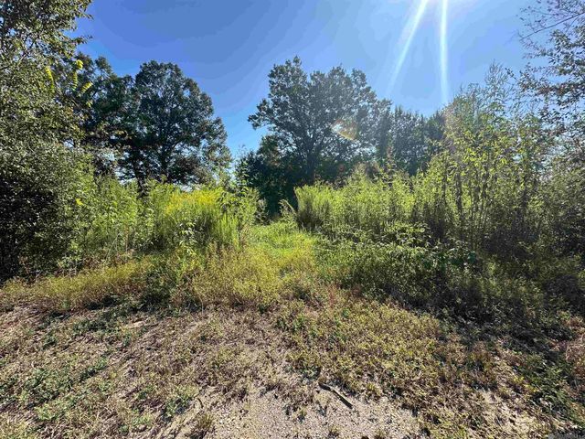 9434 Rod Anderson Rd, St Amant, LA 70774