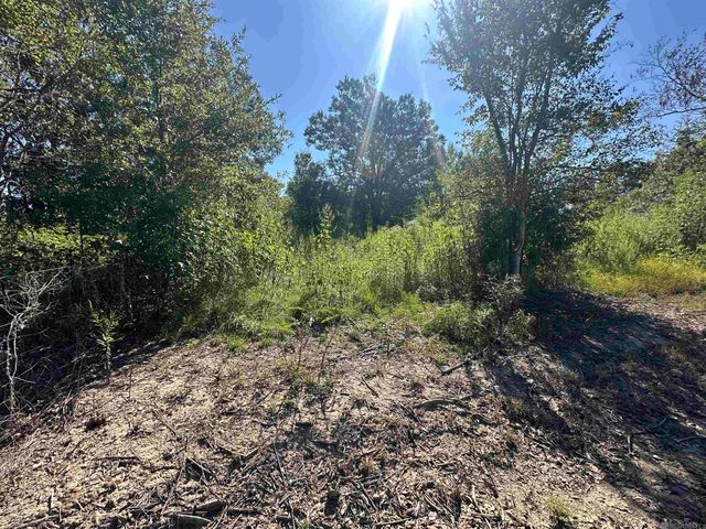 9434 Rod Anderson Rd, St Amant, LA 70774