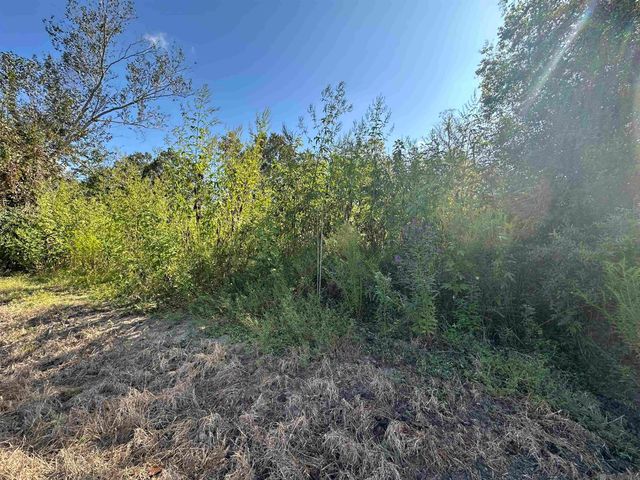 9434 Rod Anderson Rd, St Amant, LA 70774