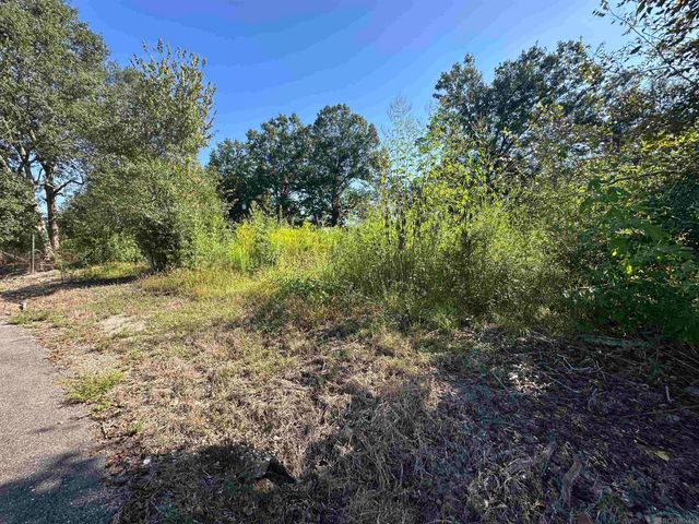 9434 Rod Anderson Rd, St Amant, LA 70774