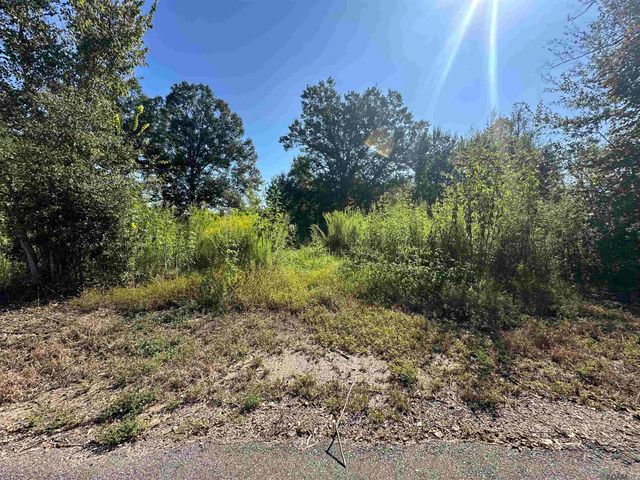 9434 Rod Anderson Rd, St Amant, LA 70774