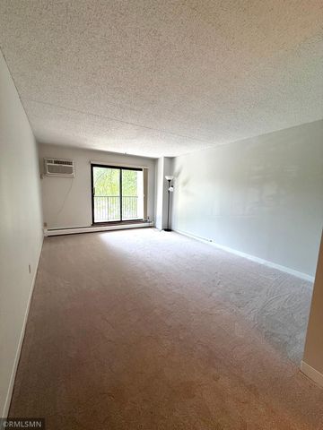 10511 Cedar Lake Road 309, Minnetonka, MN 55305