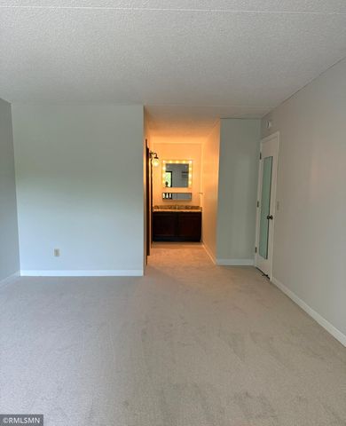 10511 Cedar Lake Road 309, Minnetonka, MN 55305