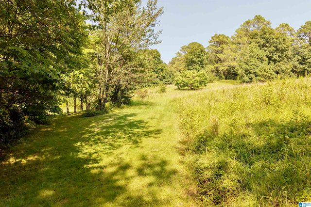 7571 MACK HICKS ROAD, Trussville, AL 35173