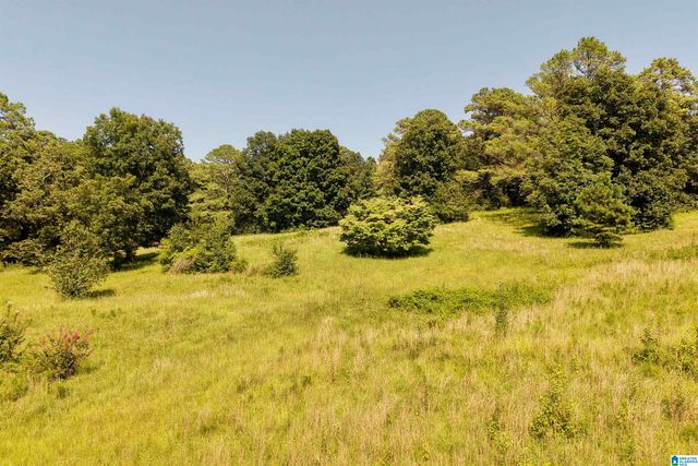 7571 MACK HICKS ROAD, Trussville, AL 35173
