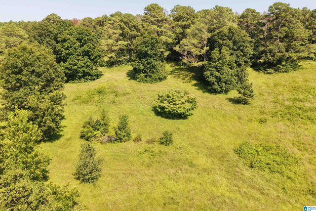 7571 MACK HICKS ROAD, Trussville, AL 35173