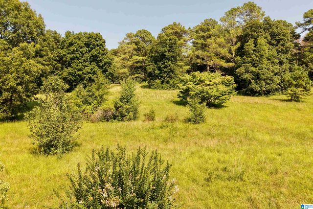 7571 MACK HICKS ROAD, Trussville, AL 35173