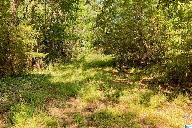7571 MACK HICKS ROAD, Trussville, AL 35173