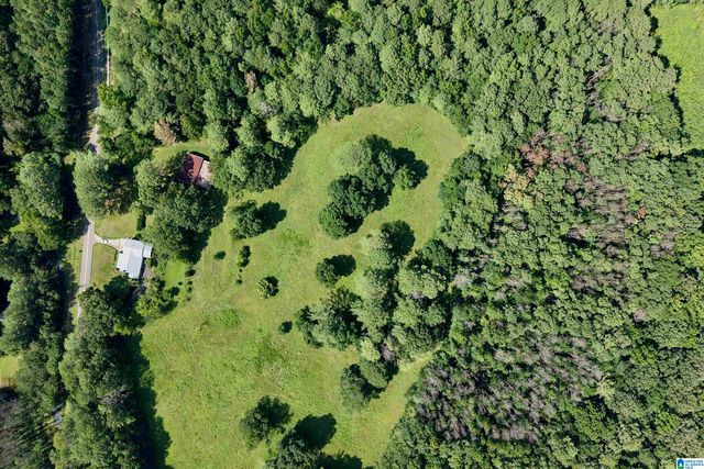 7571 MACK HICKS ROAD, Trussville, AL 35173