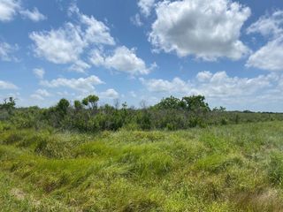 0 County Road 595 Off, Angleton, TX 77515