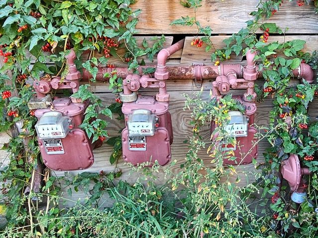 1342 S FAIRFIELD Avenue, Chicago, IL 60608