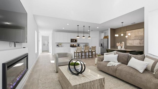 10731 Dogwood Sky Drive, Beasley, TX 77417