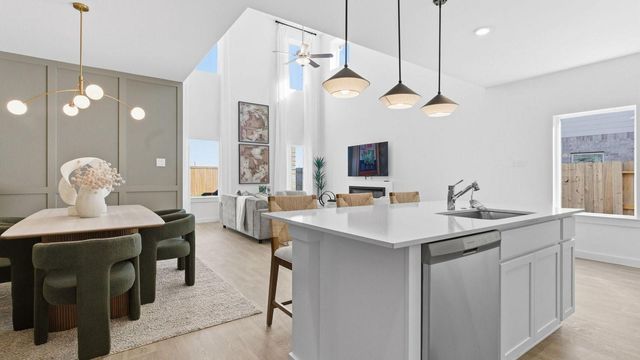 10731 Dogwood Sky Drive, Beasley, TX 77417