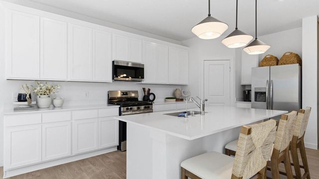 10731 Dogwood Sky Drive, Beasley, TX 77417