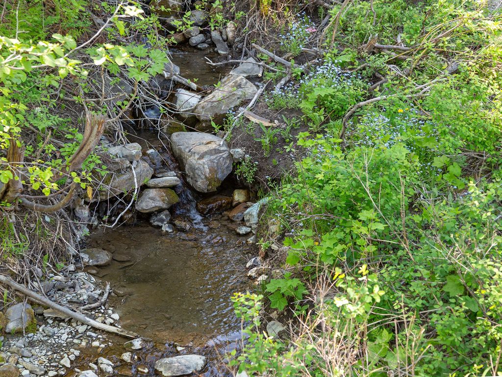 398 Moose Run Drive, Whitefish, MT 59937 photo 78