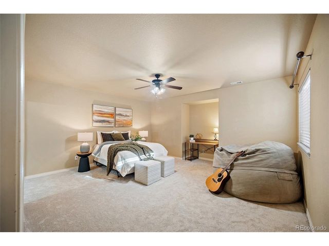 13421 Crane Canyon Loop, Colorado Springs, CO 80921