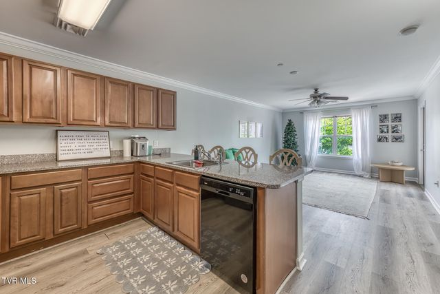 2008 Millennium Place Apt 209, Johnson City, TN 37604