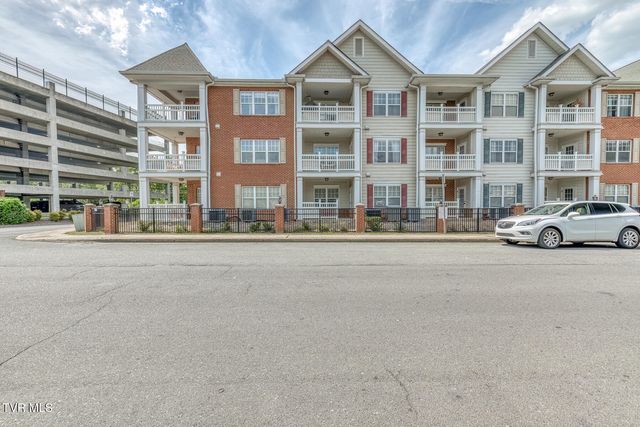 2008 Millennium Place Apt 209, Johnson City, TN 37604