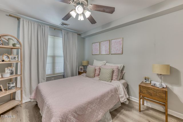 2008 Millennium Place Apt 209, Johnson City, TN 37604