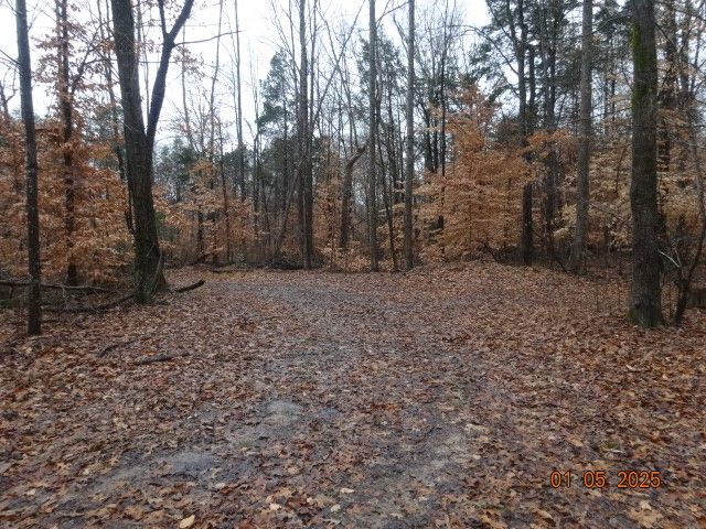 1882 Jordan Rd, Chapmansboro, TN 37035