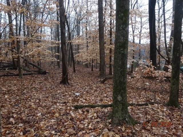 1882 Jordan Rd, Chapmansboro, TN 37035