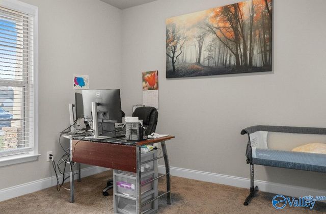 20942 East Limestone Road, Toney, AL 35773