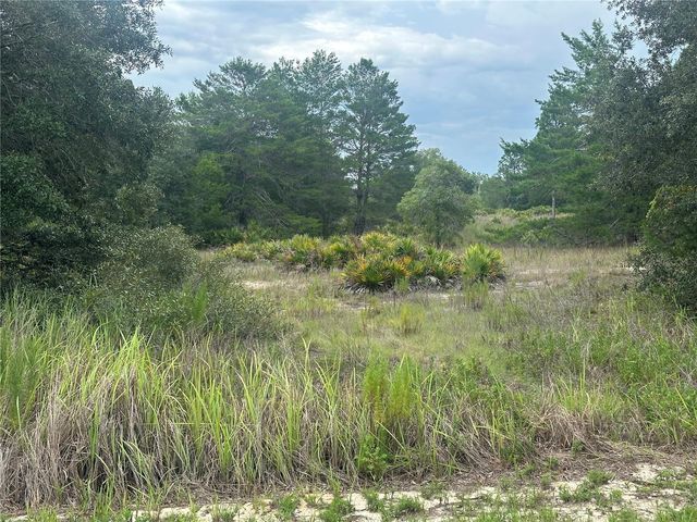 6977 S RAINBOW POINT, Homosassa, FL 34446