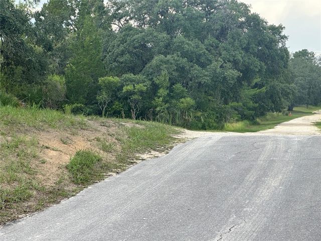 6977 S RAINBOW POINT, Homosassa, FL 34446