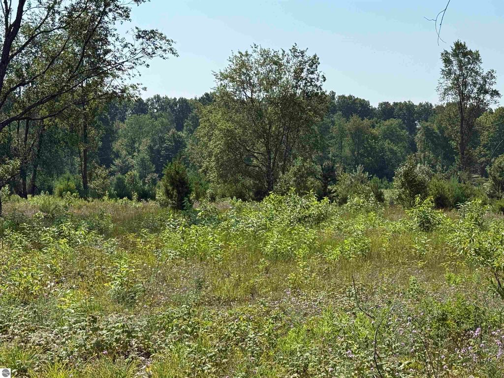 Image 4 of property listing at Parcel A8 S Bright Road, Maple City, MI 49664