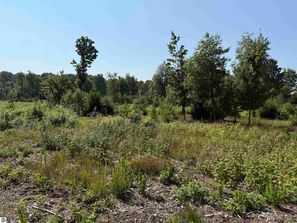 Image 5 of property listing at Parcel A8 S Bright Road, Maple City, MI 49664