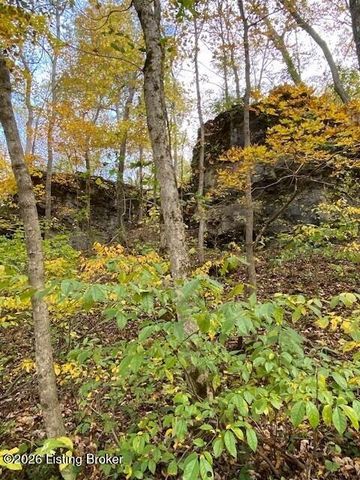 1193 Castlerock Dr, Shepherdsville, KY 40165