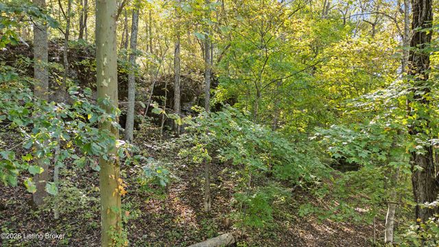 1193 Castlerock Dr, Shepherdsville, KY 40165