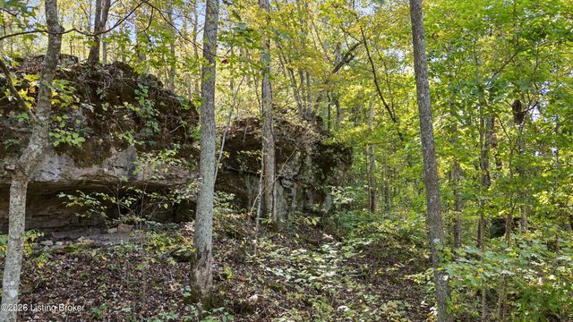 1193 Castlerock Dr, Shepherdsville, KY 40165